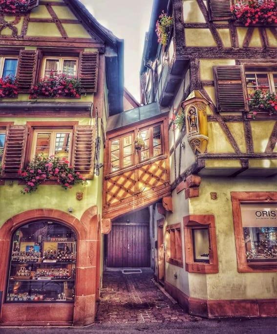 Le Petit Bali Sélestat Exterior foto